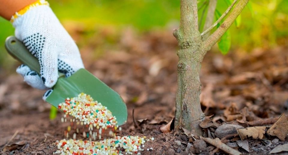 ��� ��������� �������� ����� ������: ������� ���������������� ������