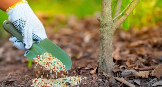 ��� ��������� �������� ����� ������: ������� ���������������� ������