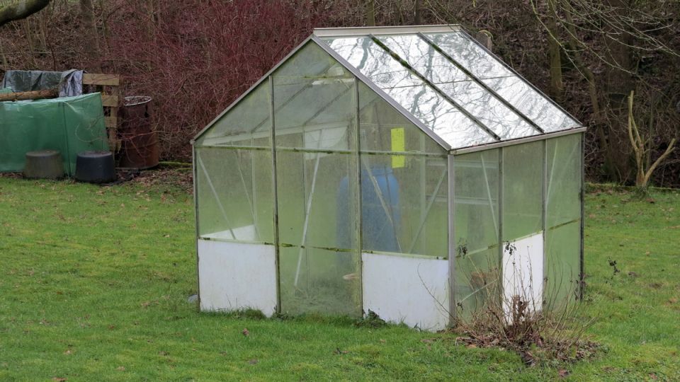 ��� ����������� ������� � ������� �����: �������� ������ � �������