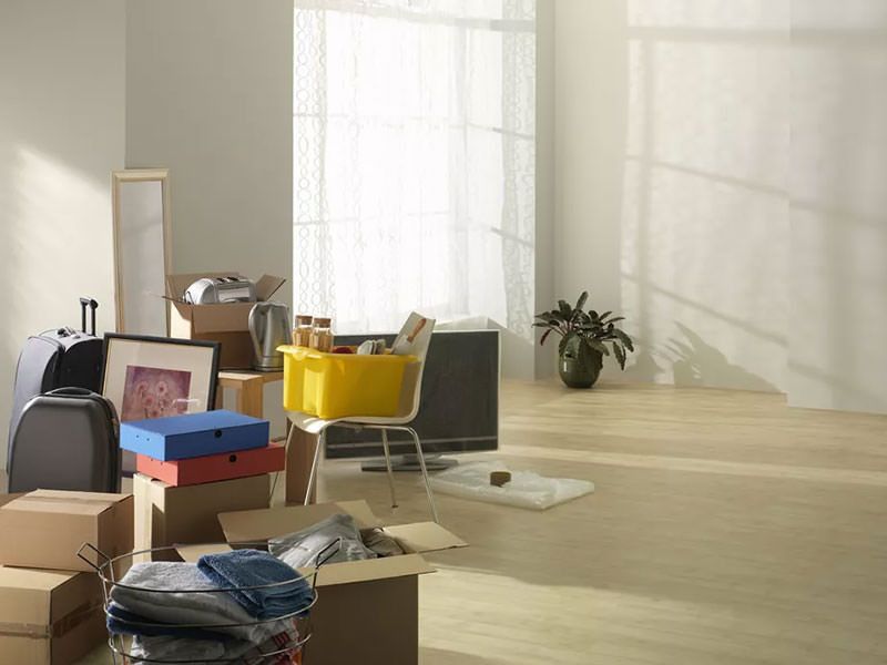 ��� ���������� ������������ � ����� ����: 11 ���������, �� ������� ����� ����������