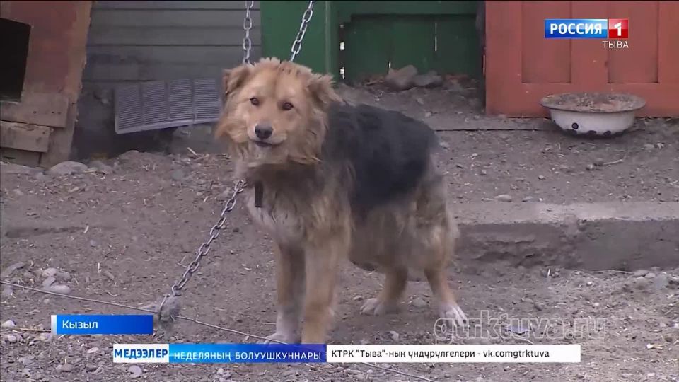 ���-�� ������������� ��������