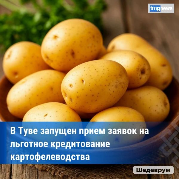 ������ ����� ������ �� �������� ������������ ����������������