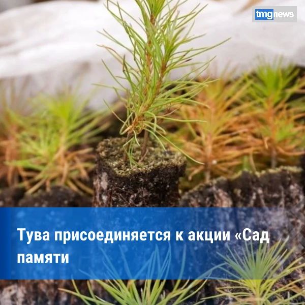 ���� ������ � ����: ���������� ������� ����� �������� �������� � ������ � ���������� ���������