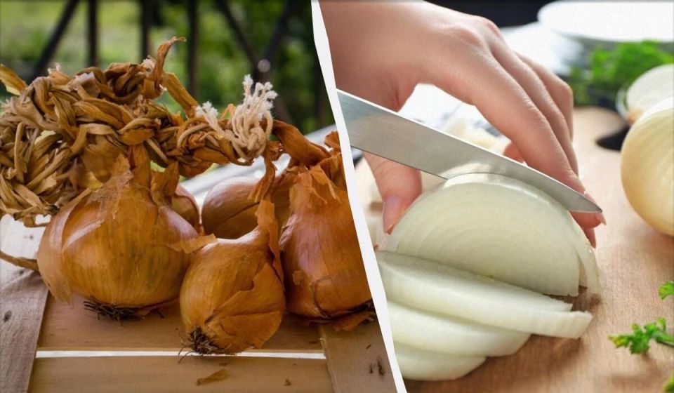 ������� �������� ����: ������ �� ����� ������� ��� � ������������?