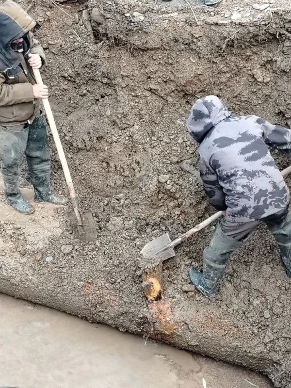 � ��-�������� ��������� ����� �� ������������� ���� � ������������ �������������