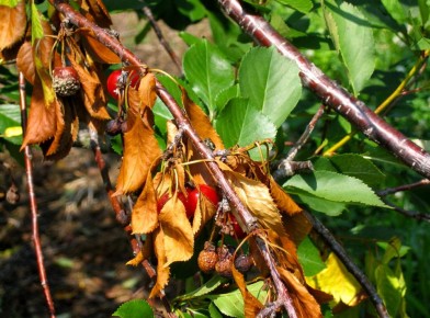 �������� ���� ������ ���������: ��������� ��� ��������� ��� �����