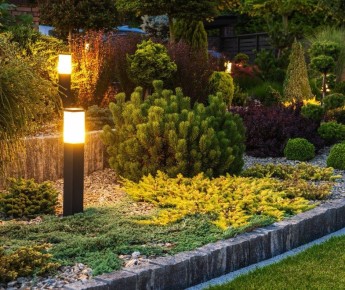 ����� ������ ���� �����: ������� ������������ ����� ���������