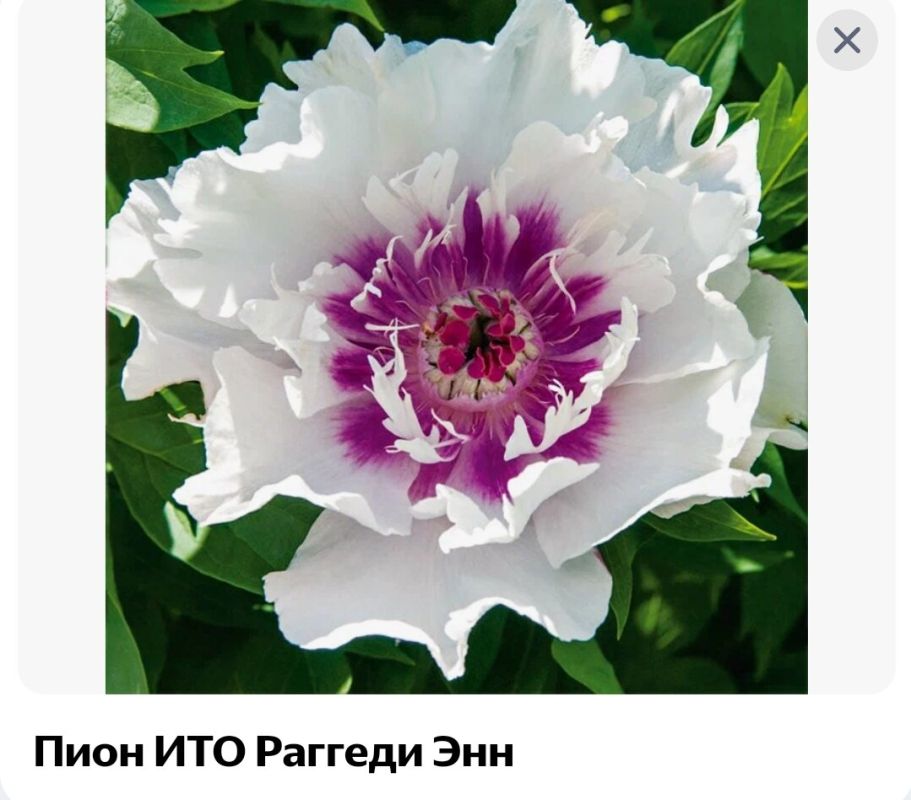 �����: ��������� ������ ������ ��� ������ ����