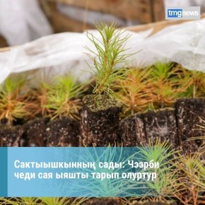 ������������ ����: ������ ���� ��� ����� ����� �������