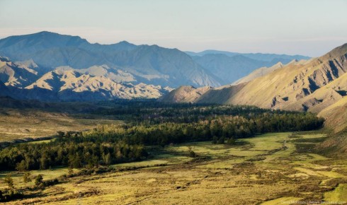 ���� ��. ����������� ������� ��������� �������� ����� ������ "����� ��" �������� ������� 20 ������ ������� ���� ����-��� ��������� ������� ������