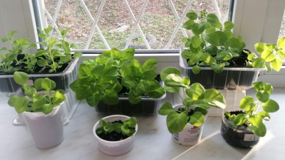 ��� ������� ��������� ������� ������� ������� �� 8 ������: ������ � �������