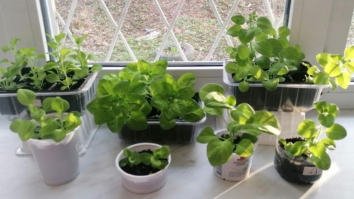 ��� ������� ��������� ������� ������� ������� �� 8 ������: ������ � �������