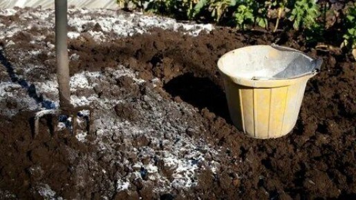 ��� ������� ��������� ����� ���������� ������ �����