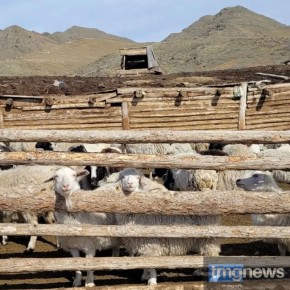 ��-�������� �������� �����-����� ����-��� ��� ����� ��������� ��� ���������� ����-����� ����� �����