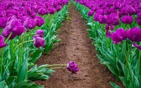 ���� �� ���������� ����� ��������: �������, ������� ����� ������ ������� ��������