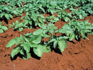 ����������: ����������� ����� ��� �������� ������ ������