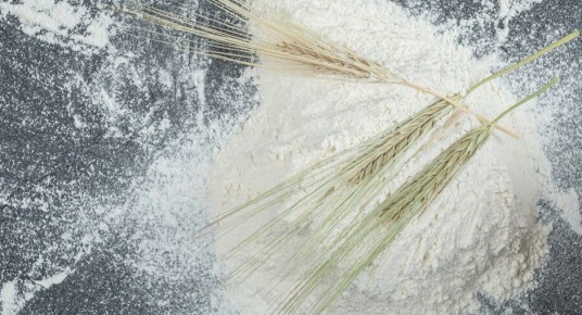 ��� ������� ��������� ���� ��� ������ �� ���������