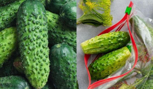 ��� ��������� ������� ������: ������, ������� �������� ��������