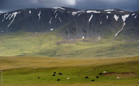 ���� �����. ������������ �������� ���������� ���� ���� ������