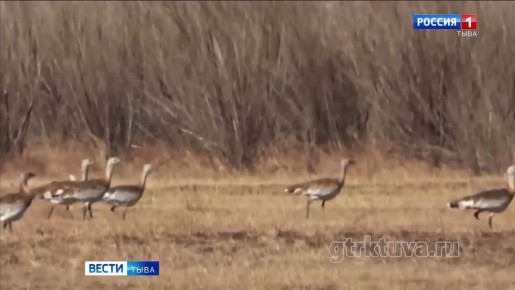 ���� �����. � ���� ������� ��������� ���� ������ ������������� ��������� �����