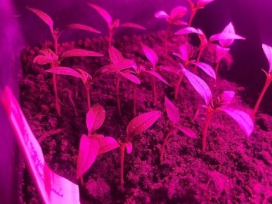 ������ �����: ������ �� ������ ����� ��� ��������� ������