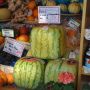 ���������� ������: ��� ������� �������� ����� � ����� ����