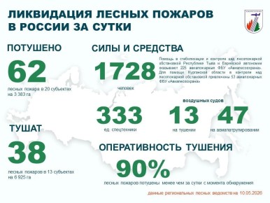 За прошедшие сутки в России потушены 62 лесных пожара в 20 регионах