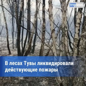 В лесах Тувы ликвидировали все действующие пожары