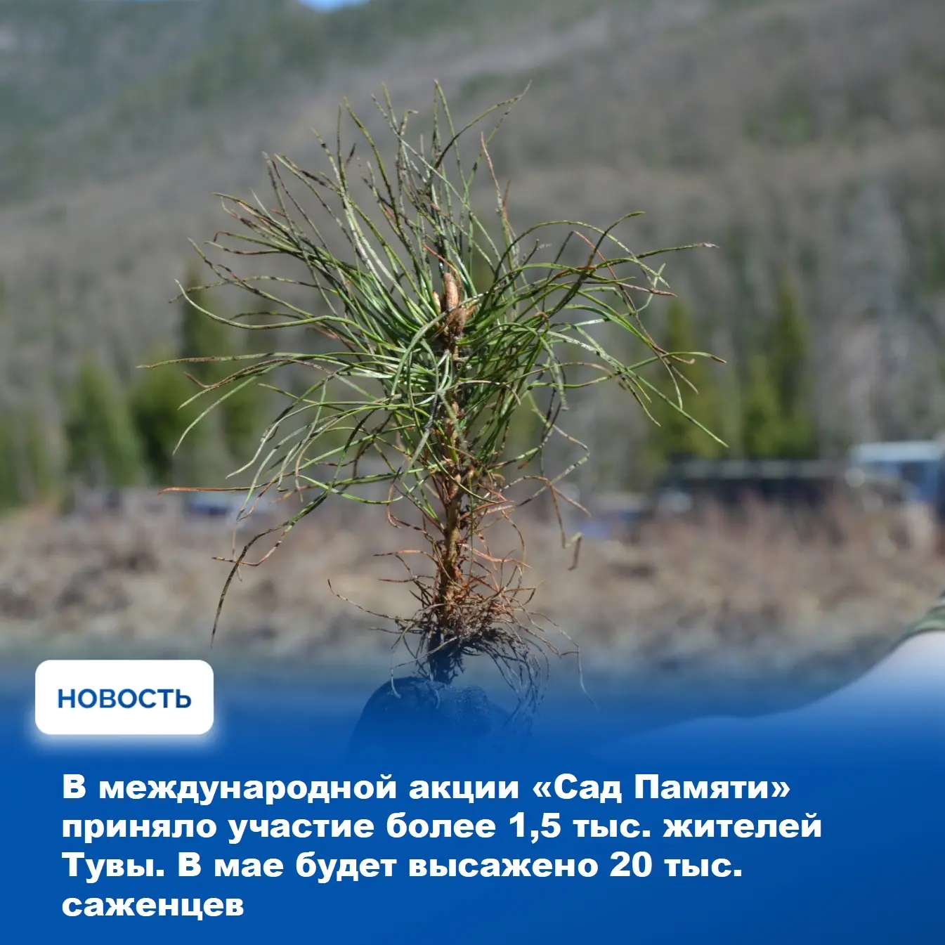 На еженедельном аппаратном совещании Главы Тувы Владислава Ховалыга, которое прошло сегодня в Доме правительства с участием руководителей всех министерств, ведомств и администраций районов, традиционно была рассмотрена... На еженедельном аппаратном совещании Главы Тувы Владислава Ховалыга, которое прошло сегодня в Доме правительства с участием руководителей всех министерств, ведомств и администраций районов, традиционно была рассмотрена...