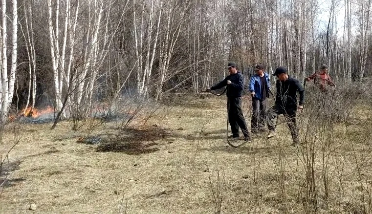 рт жркчлери арга-арыг рттерини шлн 2,1 гектар чедир эвээжеткен