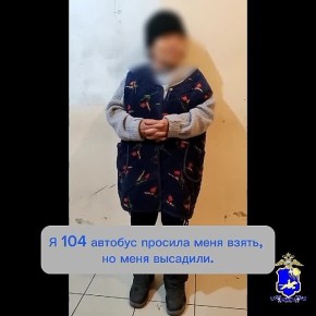 Сотрудники Управления Госавтоинспекции МВД по Республике Тыва задержали нетрезвую женщину, устроившую опасный инцидент на Верхней трассе