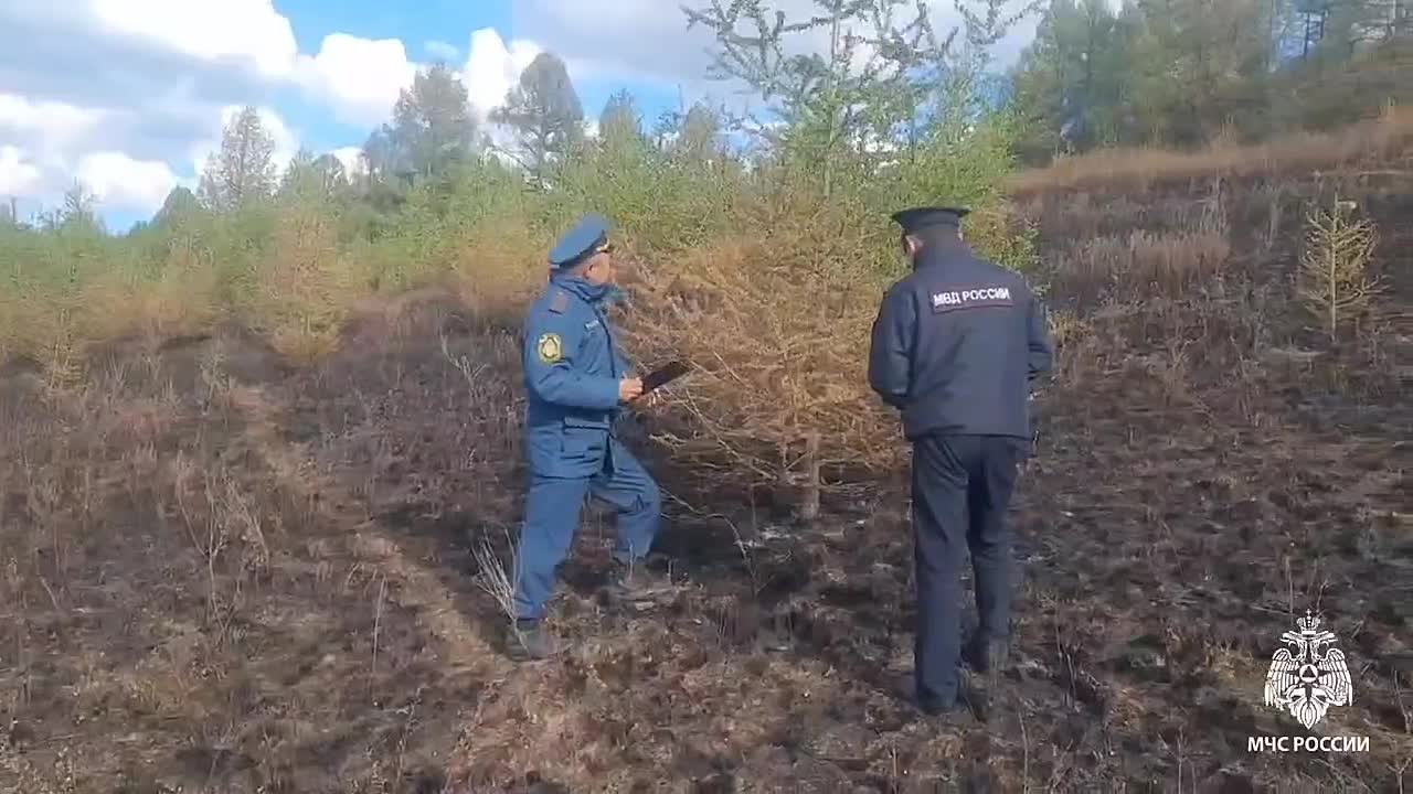 Леса горят по вине людей. С начала пожароопасного сезона в Республике Тыва зарегистрировано 38 лесных пожаров на общей площади 5172,44 га. По предварительным данным, в 36 случаях причиной возгораний стал человеческий фактор...