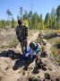 Тува готовится к участию во Всероссийской акции «Сад памяти»