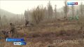 Патриотизм и экология. . Сегодня в Туве стартовал седьмой сезон международной эколого-патриотической акции «Сад памяти»