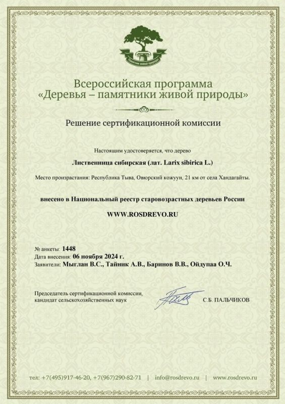 Россияда э-не «кырган» ыяш – вр кожуунну Улаатайны Хос-Терек деп черде Россияда э-не «кырган» ыяш – вр кожуунну Улаатайны Хос-Терек деп черде