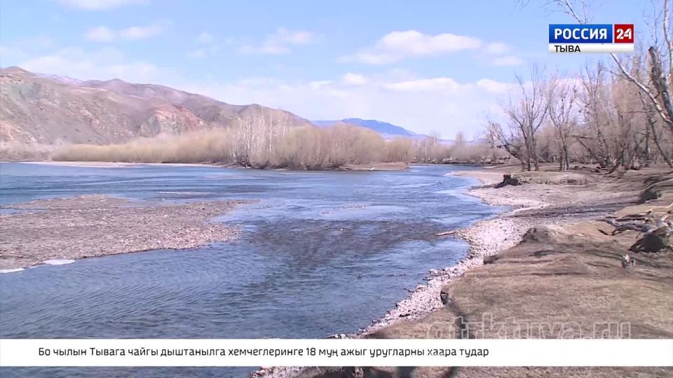 Аппарат хуралы: кол айтырыглар