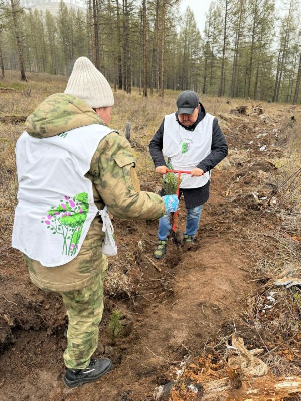 В Туве стартовал седьмой сезон акции «Сад памяти» В Туве стартовал седьмой сезон акции «Сад памяти»