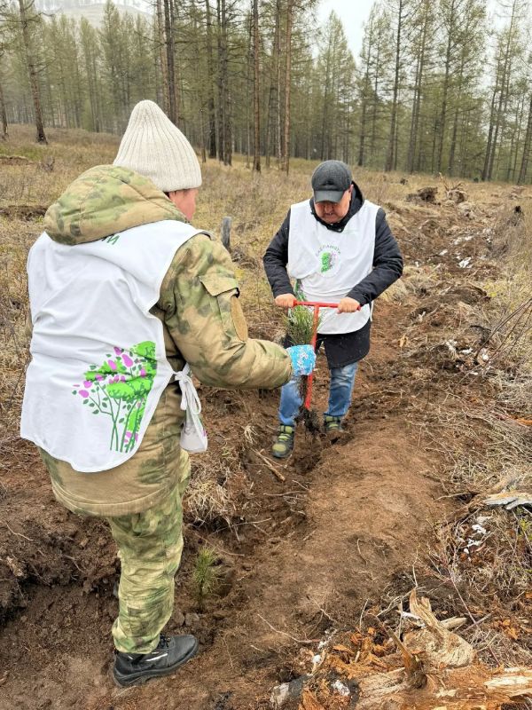 В Туве стартовал седьмой сезон акции «Сад памяти» В Туве стартовал седьмой сезон акции «Сад памяти»