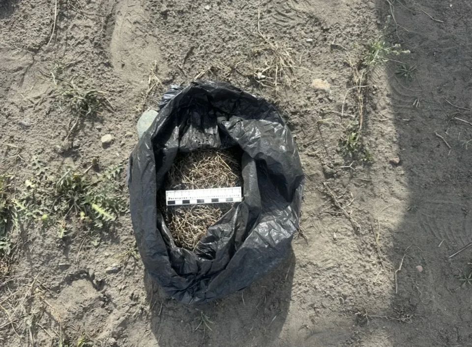 В Шагонаре полицейские задержали подозреваемых в незаконном хранении марихуаны