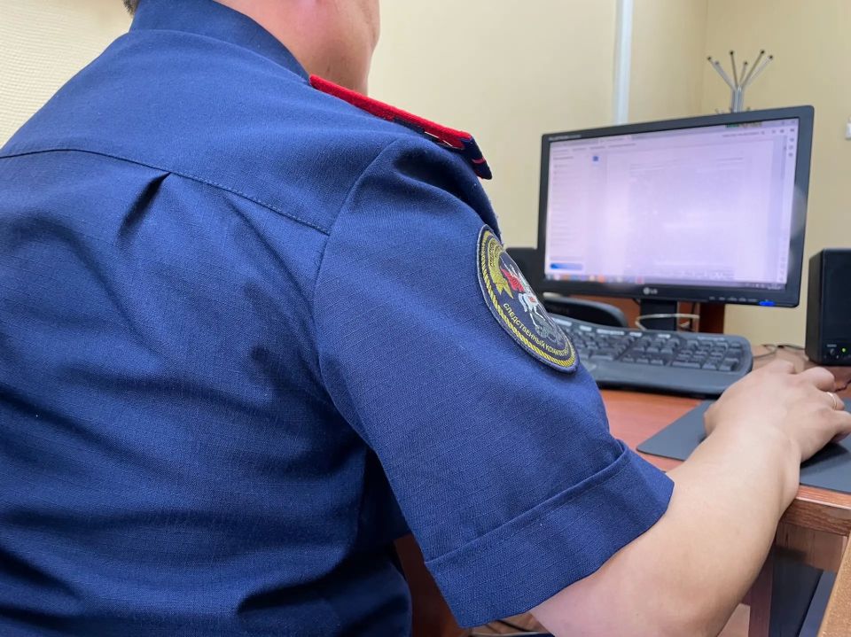 В Республике Тыва генеральный директор коммерческого предприятия признан виновным в неуплате налогов в особо крупном размере