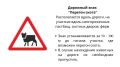 Безнадзорный скот на дорогах Тувы: владельцев ждут штрафы и даже уголовная ответственность