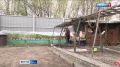 Сад-огород. В Туве начался сезон посадки растений и подготовки приусадебных участков к лету