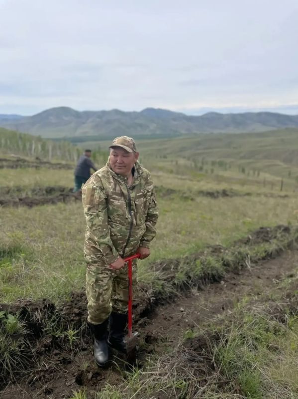 «Лёгкие» Тувы: в республике активно восстанавливают лесной фонд «Лёгкие» Тувы: в республике активно восстанавливают лесной фонд