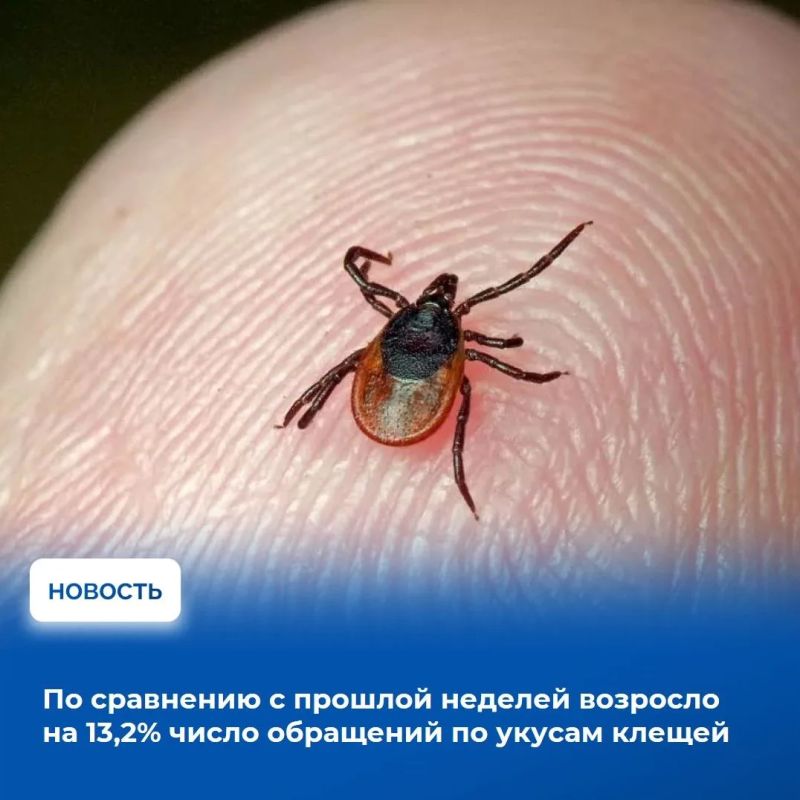 На аппаратном совещании в Правительстве Тувы рассмотрели оперативную обстановку за прошедшую неделю и определили приоритетные направления работы на предстоящий период На аппаратном совещании в Правительстве Тувы рассмотрели оперативную обстановку за прошедшую неделю и определили приоритетные направления работы на предстоящий период