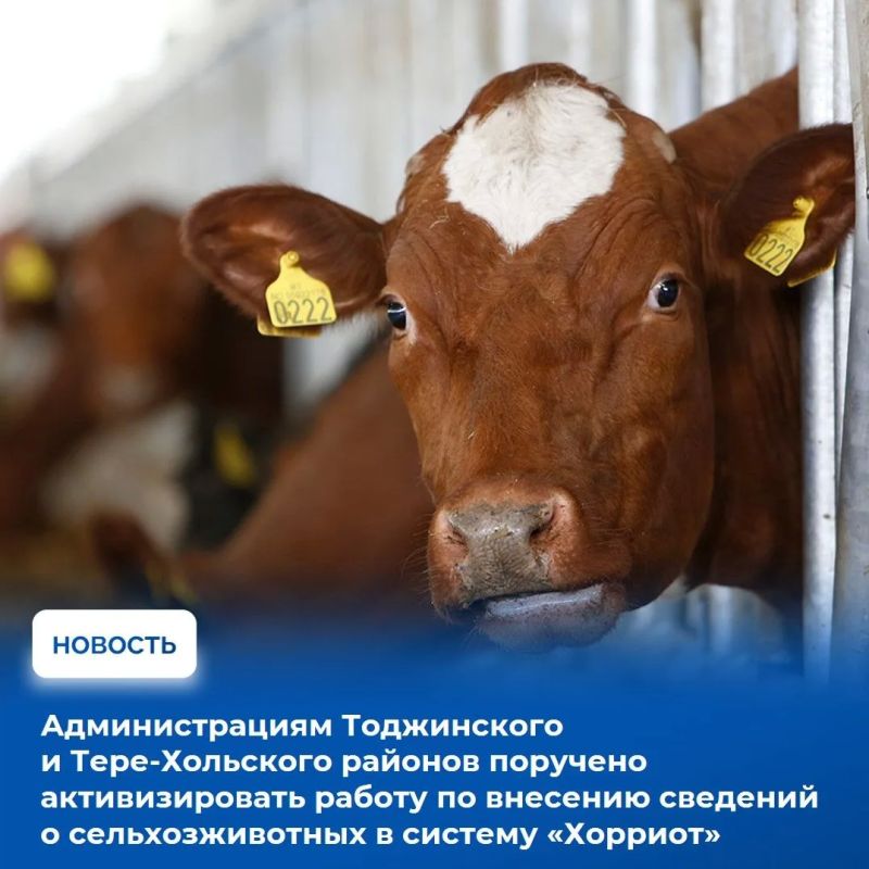 На аппаратном совещании в Правительстве Тувы рассмотрели оперативную обстановку за прошедшую неделю и определили приоритетные направления работы на предстоящий период На аппаратном совещании в Правительстве Тувы рассмотрели оперативную обстановку за прошедшую неделю и определили приоритетные направления работы на предстоящий период