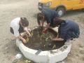 Трудовая летняя практика для школьников Республики Тыва