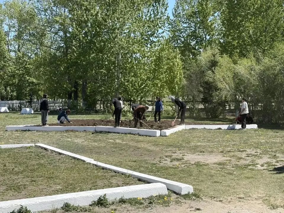 Трудовая летняя практика для школьников Республики Тыва Трудовая летняя практика для школьников Республики Тыва