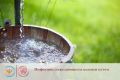 Водный путь передачи инфекций занимает второе место по распространенности после воздушно-капельного (аэрозольного) и особенно характерен в регионах с недостаточным уровнем санитарии и жарким климатом