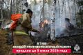 В Туве особый противопожарный режим продлён до 5 июля 2026 года