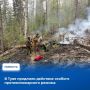 Постановлением Правительства Республики Тыва особый противопожарный режим на территории региона продлен до 5 июля 2026 года